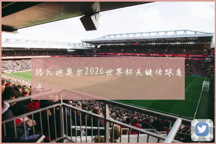 格瓦迪奥尔2026世界杯关键传球看点