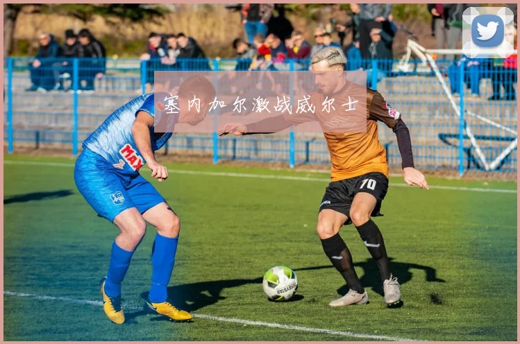 塞内加尔激战威尔士