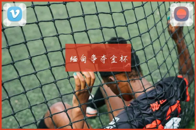 缅甸争夺金杯
