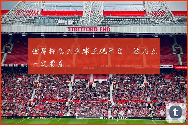 世界杯怎么买球正规平台｜这几点一定要看