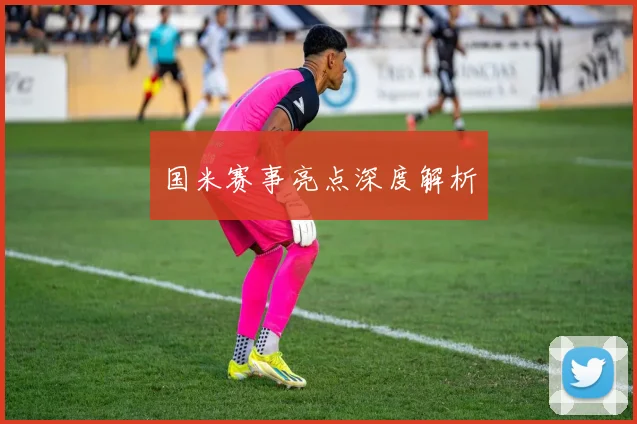 国米赛事亮点深度解析