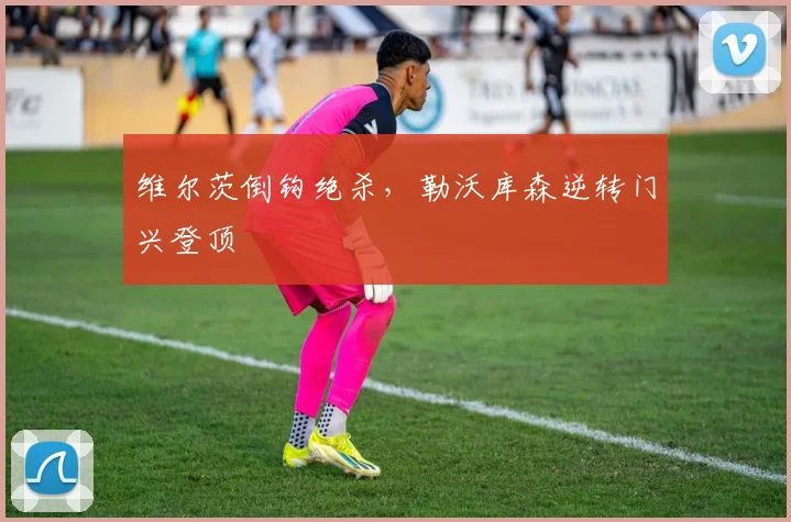 维尔茨倒钩绝杀，勒沃库森逆转门兴登顶
