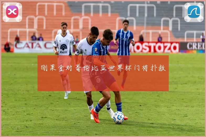 刚果金对哥伦比亚世界杯门将扑救