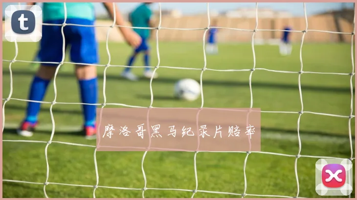 摩洛哥黑马纪录片赔率