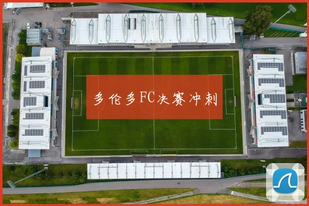 多伦多FC决赛冲刺