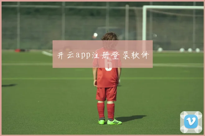 开云app注册登录软件