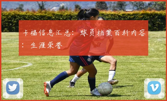 卡福信息汇总：球员档案百科内容：生涯荣誉