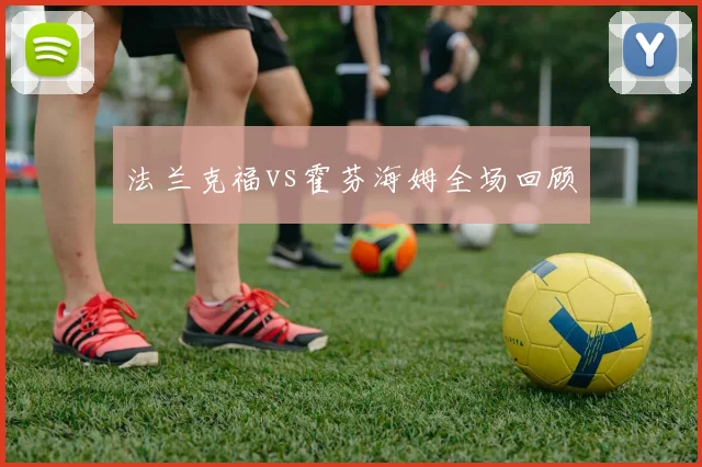法兰克福vs霍芬海姆全场回顾