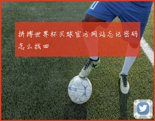 拼搏世界杯买球官方网站忘记密码怎么找回