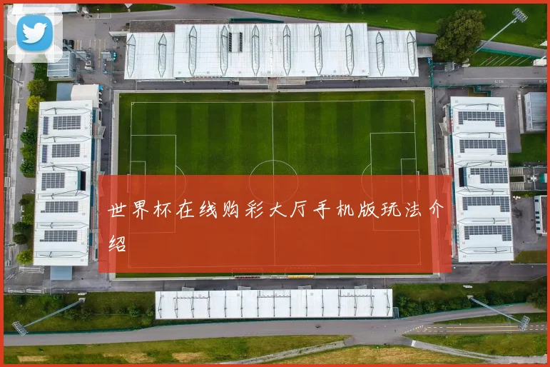 世界杯在线购彩大厅手机版玩法介绍