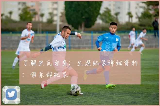 了解里瓦尔多：生涯纪录详细资料：俱乐部纪录