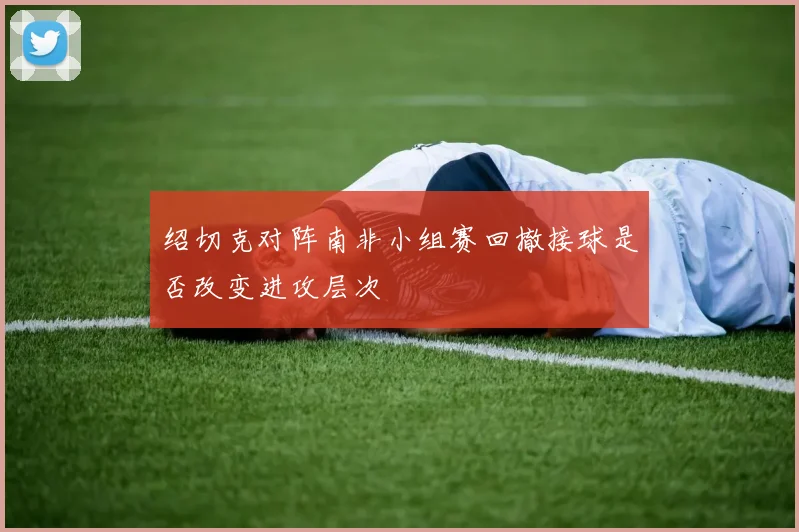 绍切克对阵南非小组赛回撤接球是否改变进攻层次